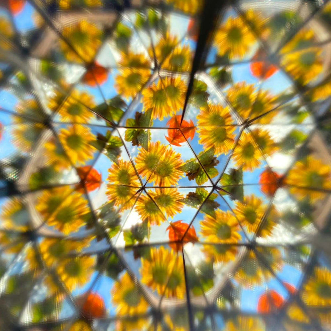 Educational Toys Toddler Toys Children's